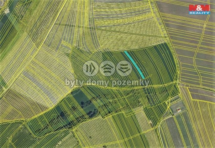 Prodej, Vinice, Vracov