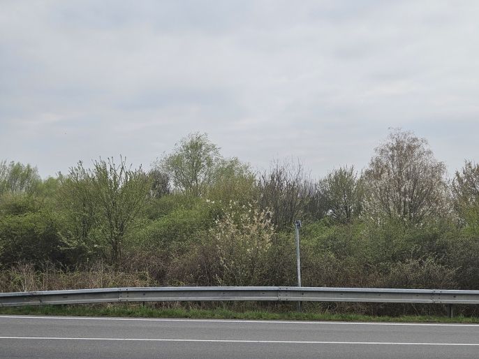 Prodej, Zahrada, Olomouc