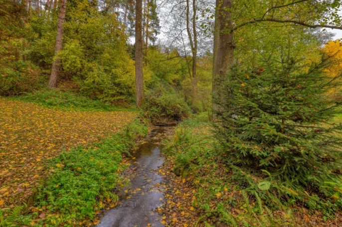 Prodej, Chata, Hradec