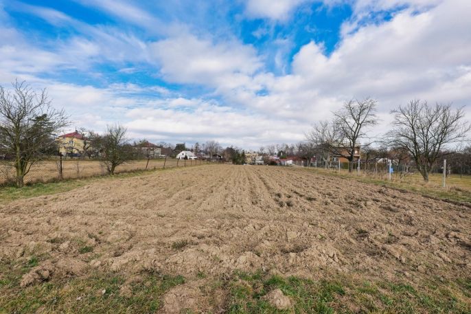 Prodej, Zahrada, Holasovice