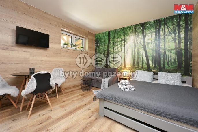 Prodej, Byt 1+kk, Vrbno pod Pradědem