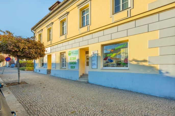 Pronájem, Obchod a služby, Slaný