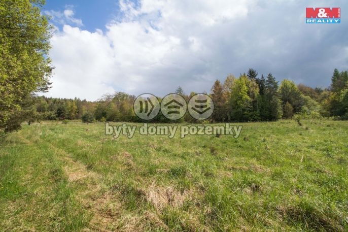 Prodej, Louka, Velenov