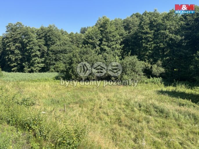 Prodej, Louka, Bakov nad Jizerou