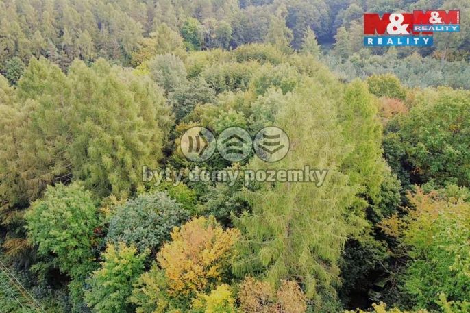 Prodej, Zahrada, Kostelec nad Černými lesy