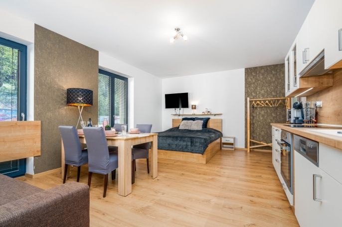 Pronájem, Byt 1+kk, Vrchlabí