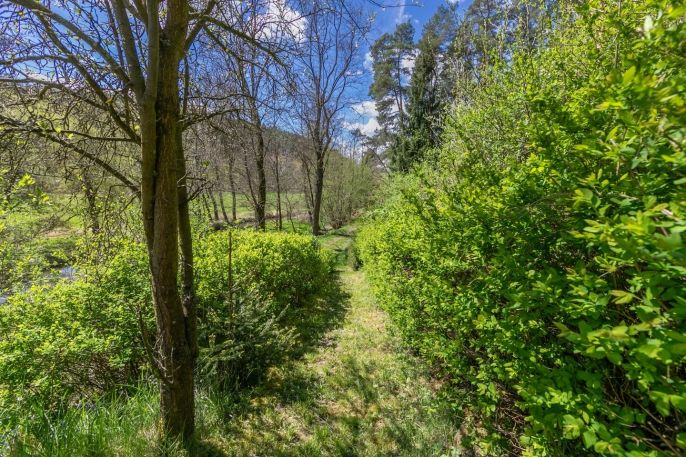 Prodej, Chata, Česká Bříza