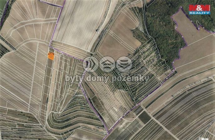 Prodej, Louka, Starovičky