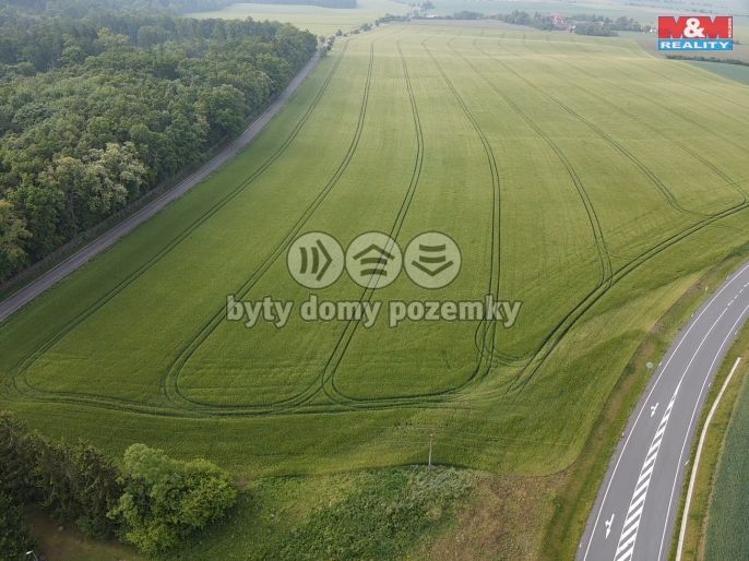 Prodej, Pole, Opočno