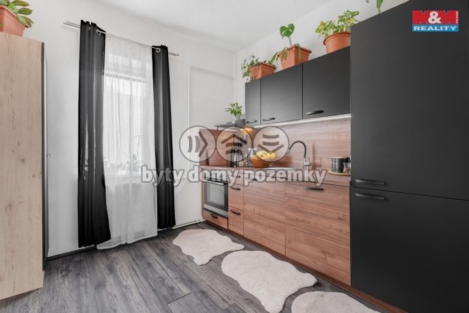 Prodej, Byt 3+1, 54 m², Nové Město pod Smrkem, Ludvíkovská