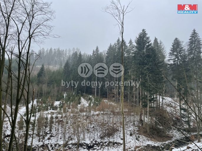 Prodej, Les, Záhoří