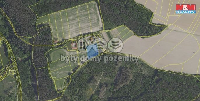 Pronájem, Pastvina, Zásmuky