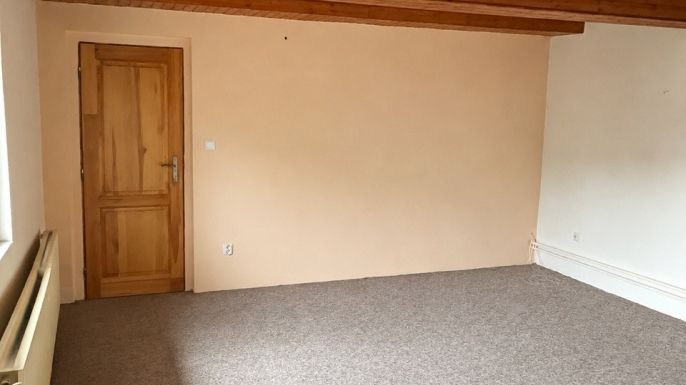 Pronájem, Kancelářský prostor, Plazy