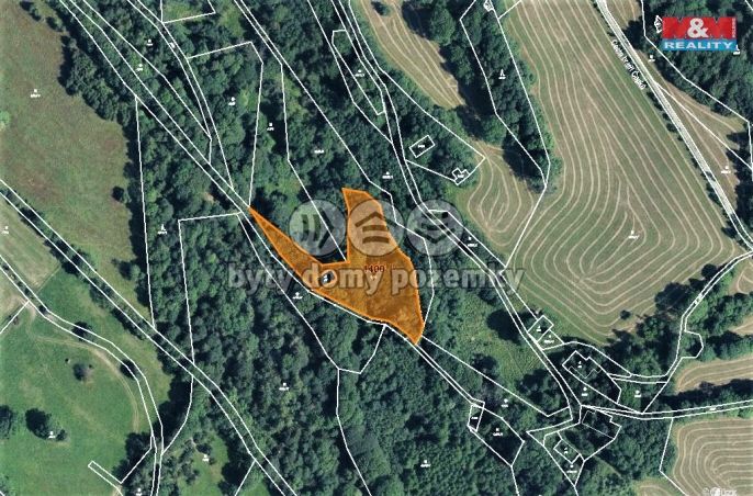 Prodej, Les, Trutnov