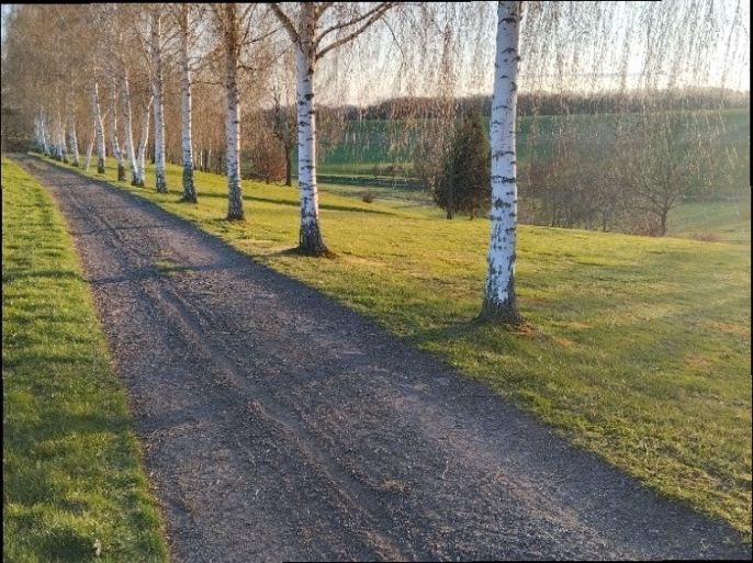 Prodej, Pozemek k bydlení, Svijanský Újezd