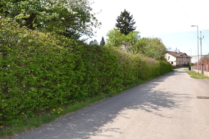 Prodej, Pozemek k bydlení, Velké Poříčí