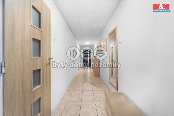 Prodej, Rodinný dům, Bříza