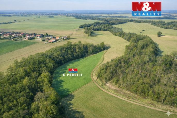 Prodej, Louka, Čistá