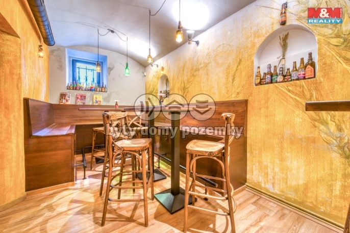 Pronájem, Obchod a služby, Plzeň