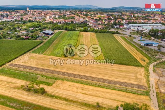 Prodej, Pole, Podivín