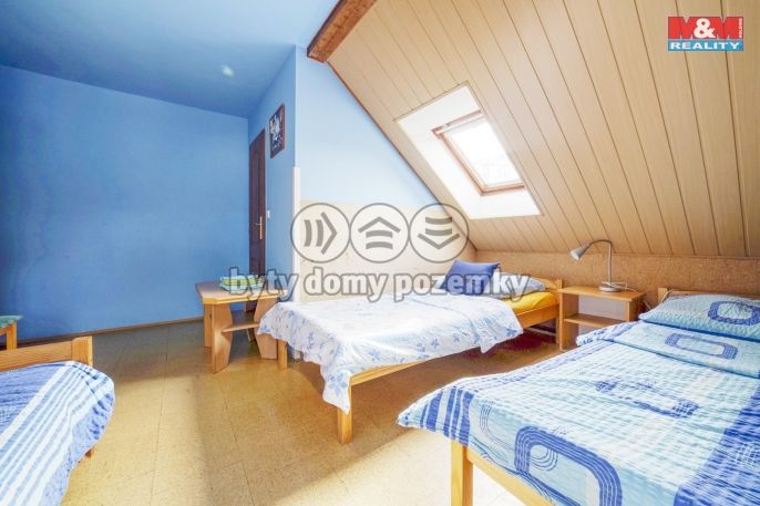 Prodej, Hotel, penzion, Dolní Žandov