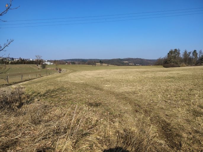 Pronájem, Louka, Jílové u Prahy