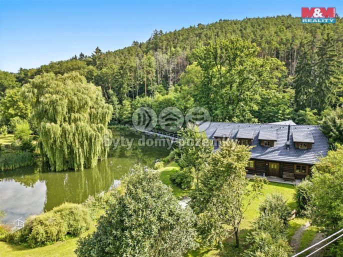 Prodej, Hotel, penzion, 419 m², Borotice