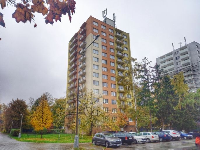 Pronájem, Byt 2+1, České Budějovice