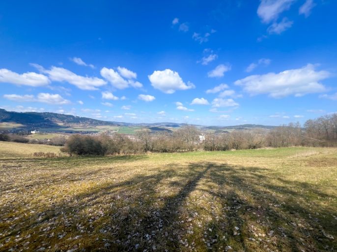 Prodej, Louka, Sušice