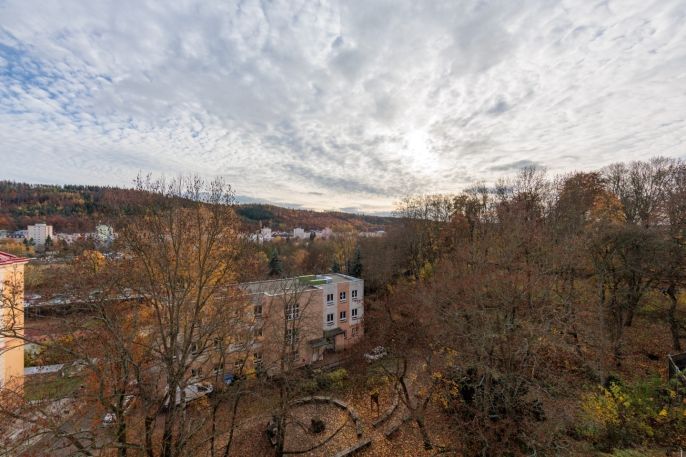 Prodej, Byt 2+1, Karlovy Vary