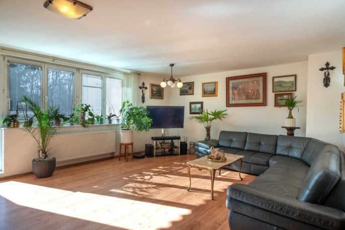 Prodej, Rodinný dům, Písek