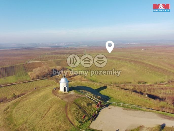 Prodej, Vinice, Velké Bílovice