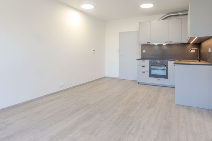 Prodej, Byt 1+kk, Zlín