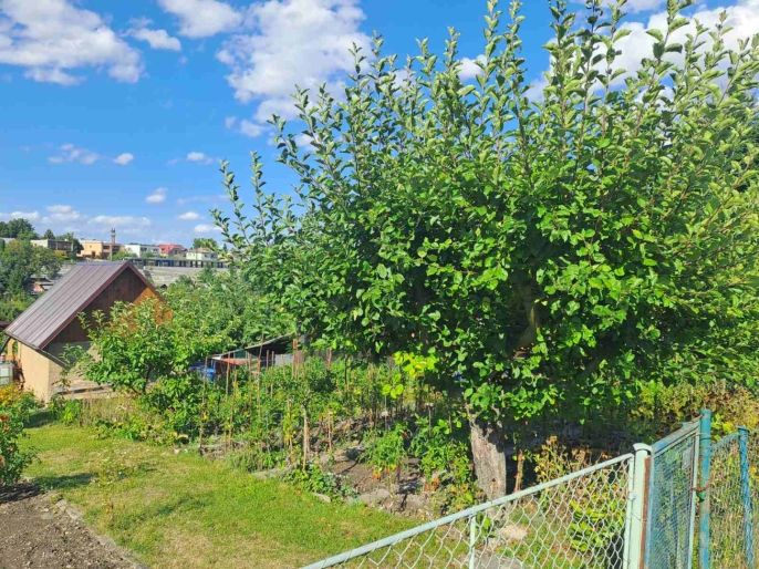 Prodej, Chata, Kladno