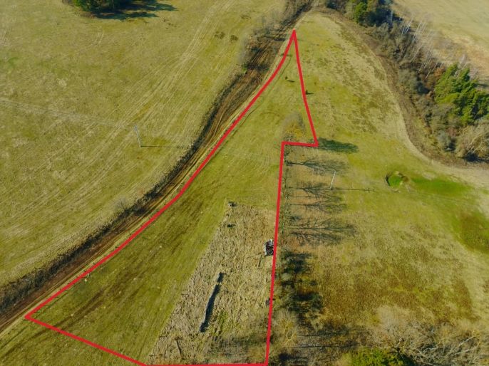 Prodej, Pole, Kladruby