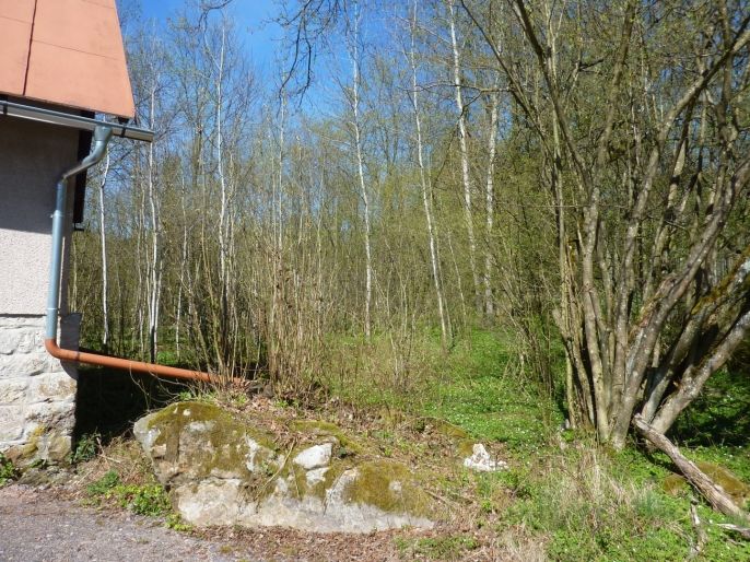 Prodej, Pozemek k bydlení, Brzice