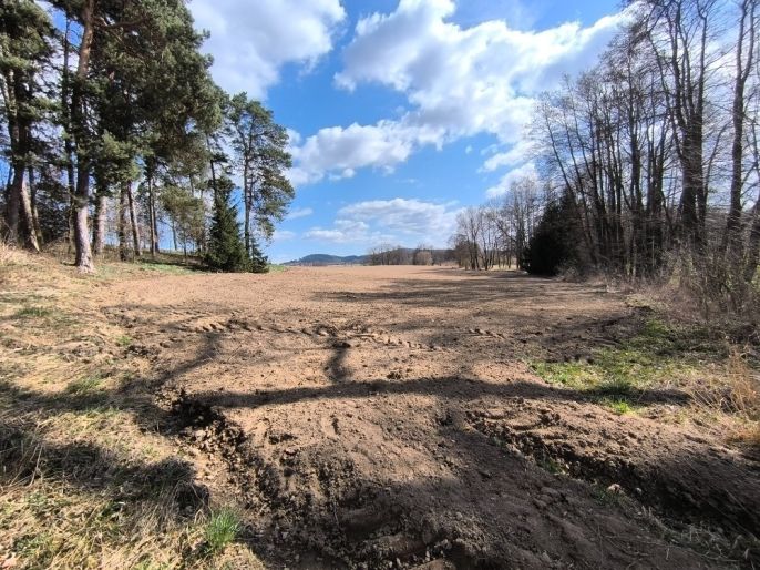 Prodej, Zahrada, Radošovice