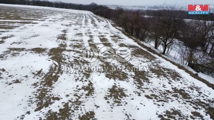 Prodej, Pole, Dolní Slivno