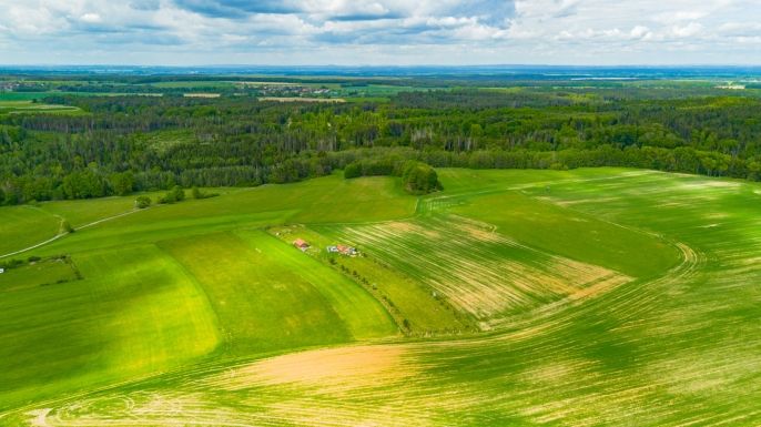 Prodej, Zahrada, Libníč