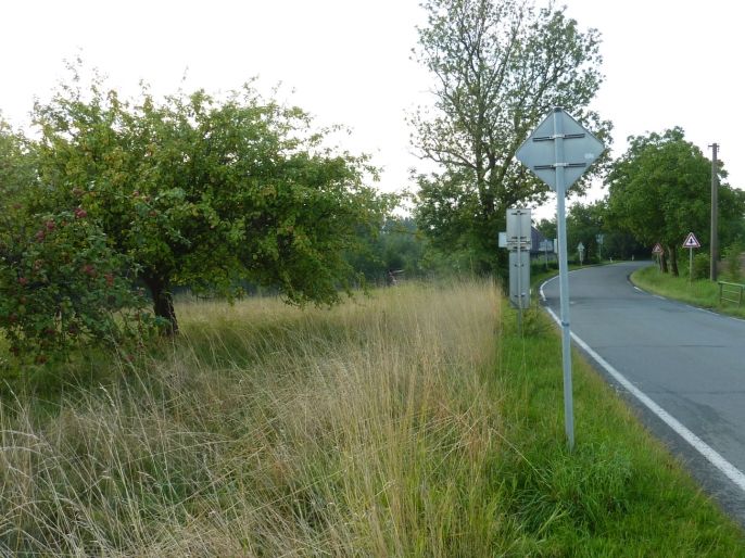 Prodej, Pozemek k bydlení, Červený Kostelec