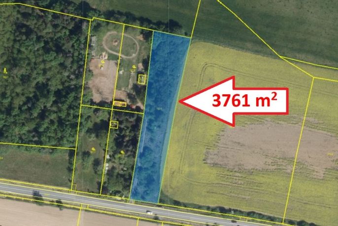 Pronájem, Zahrada, Sezemice