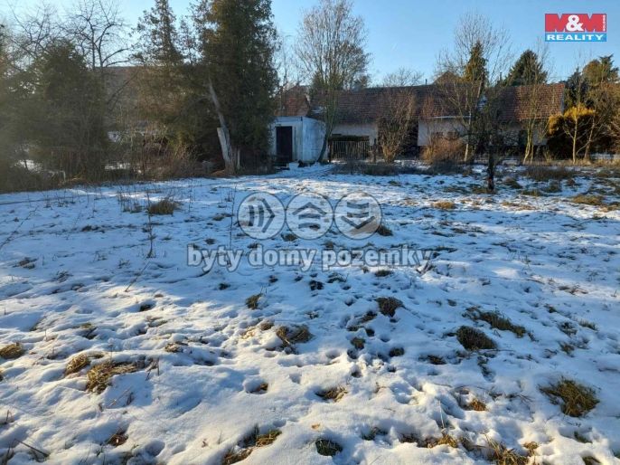 Prodej, Zahrada, Kořenice