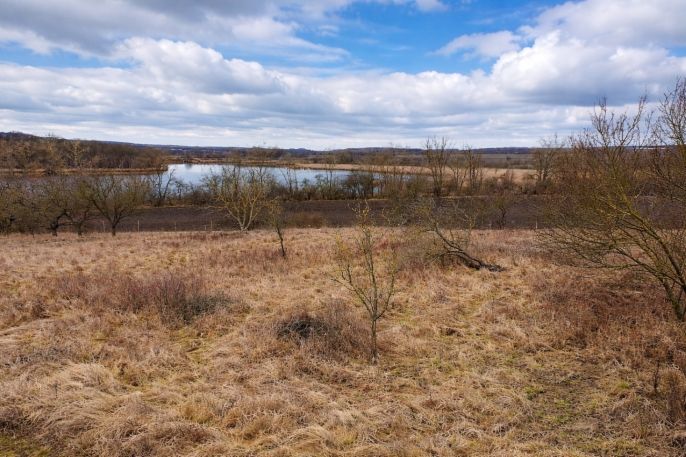 Prodej, Zahrada, Mikulov