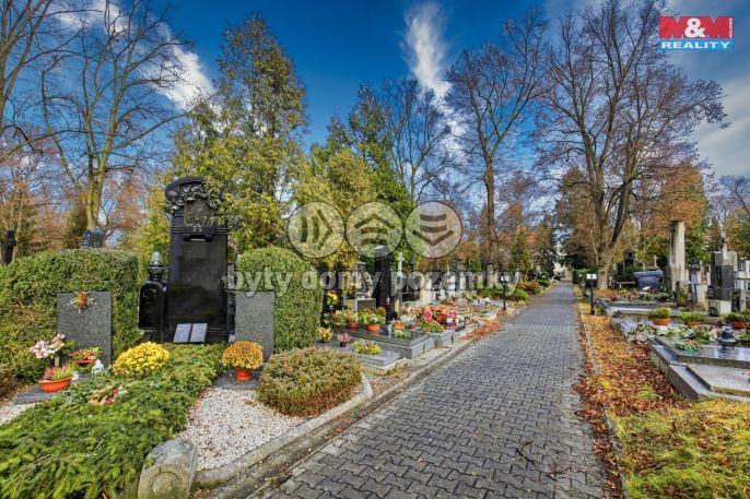 Prodej, Ostatní, Plzeň