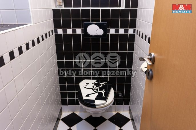 Prodej, Byt 4+kk, Opava