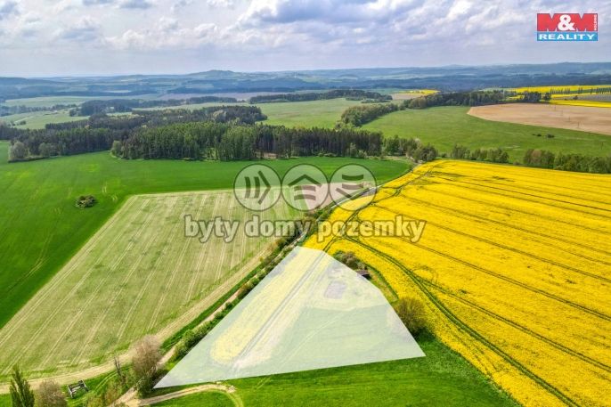 Prodej, Pole, Ostrov u Bezdružic