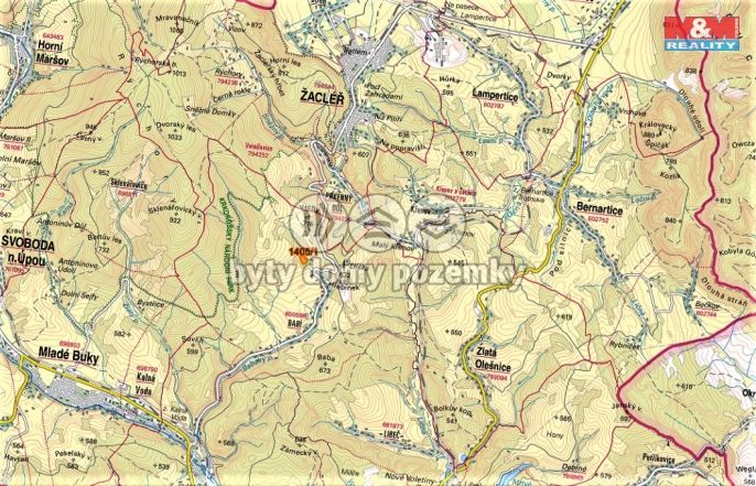 Prodej, Les, Trutnov