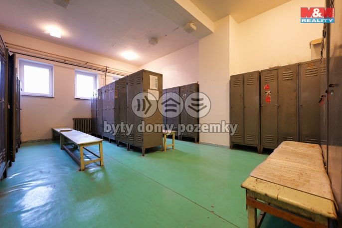 Prodej, Výrobní objekt, Ivanovice na Hané