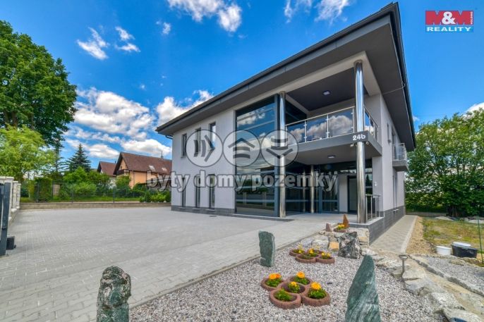 Pronájem, Byt 1+kk, Františkovy Lázně