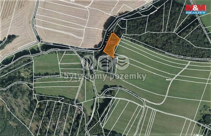 Prodej, Les, Vranová Lhota